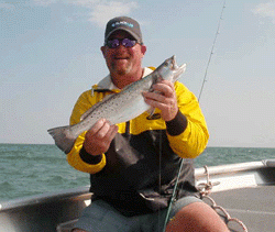 20 Inch Ocean run Speckled Trout