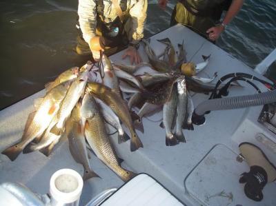 Good day before the high pressure