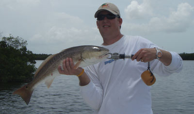 Brother Kale with nicer Red