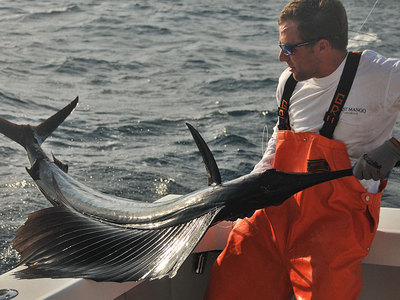 Quick photo op before release of XL Sailfish