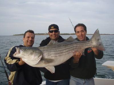 37.1 lb Striper taken in the day