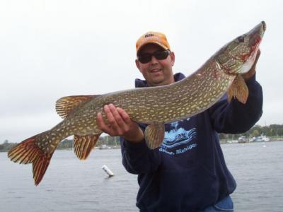 40 inch Northern Pike...