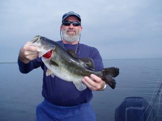 Nice Stick Marsh bass!