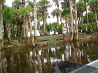 the normail winter level is marked by the dark line of the trees.