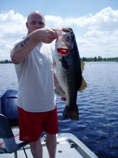Nice bass on Senko type bait.