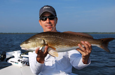 Javier used a DOA shrimp to catch this redfish