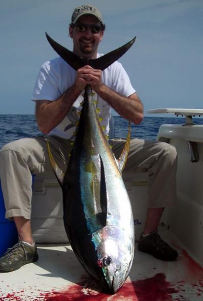Yellow fin tuna