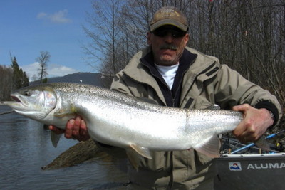 Kitimat River Steelhead - Photo by Ron Wakita