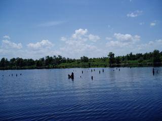 All them bass houses are occupied!