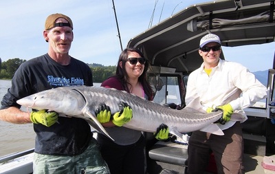 Sturgeon fishing guides, Mission BC