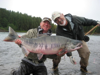 Huge Chum caught on the Kitimat River.