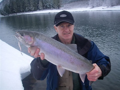 500x375 Skeena River Winter Steelheading. Glen Kilcup of Fish Hawk Guiding reports: