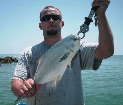big, fast. Pompano too.