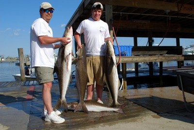 Butch Moore and son with a their limit of Cobia.