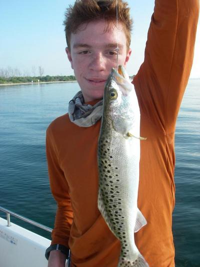 Trout  make for fun action and dinner