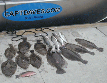 Just last week's catch...compare this to today....Holy crap