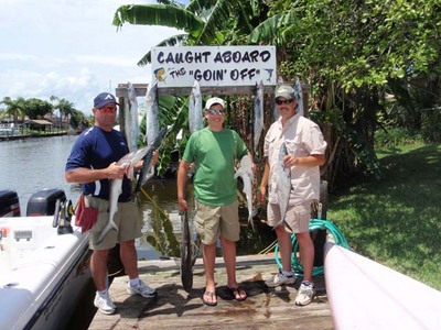 Today's crew with their limit of Kingfish