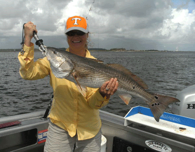 Kim, and a bronze beauty