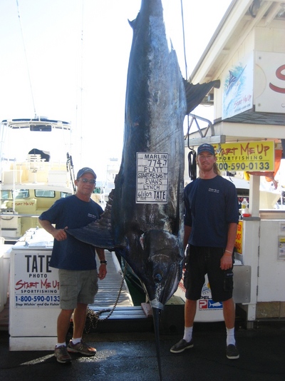 774 Pound Blue Marlin