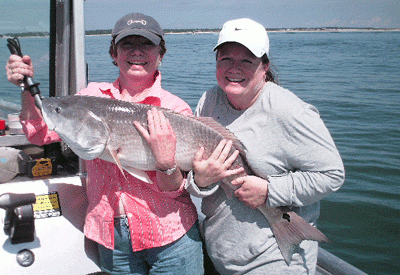 Help from here sister