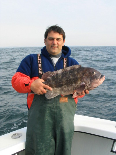 12.8 lb Black Fish