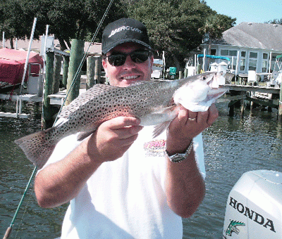 1 of 3 beautiful 'Specks'