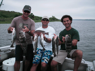What we kept for supper....Trout, Drum and Mangrove Snapper