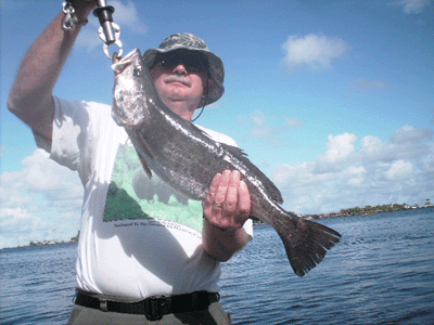 one of many GATORS from 9/12