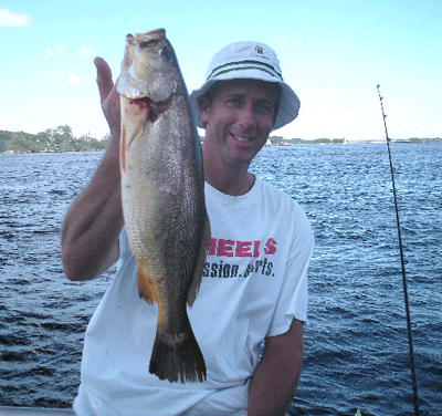 one of many YELLOW GATORS from 9/13