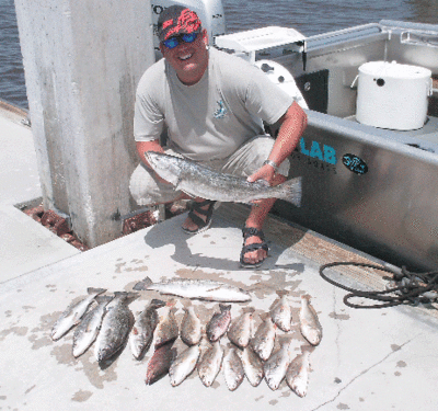 What was kept after using 9 dozen live shrimp