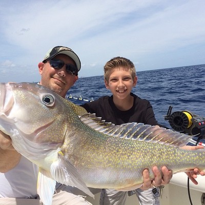 Big golden tilefish caught deep dropping