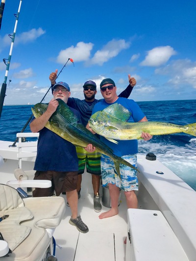 Nice dolphins caught in 300 ft of water