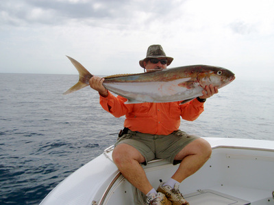 amberjack