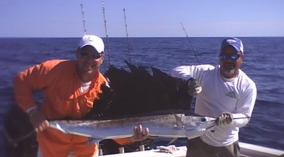 Nice Sailfish 1/18/09