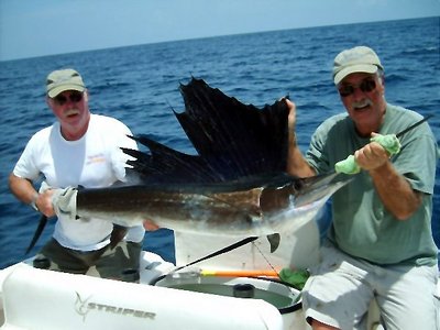 Sailfish Action!