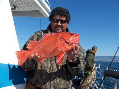 Aneel Kumar with a nice Vermillion