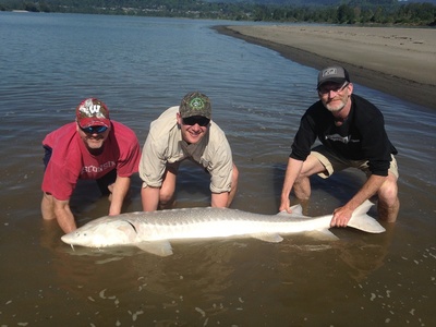 Lots of 6 footers were being caught