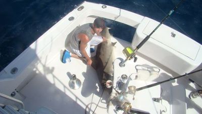 Captain Taco (954) 764-4344 or toll free @ (877) SEA-4344 tacohookedup@aol.com