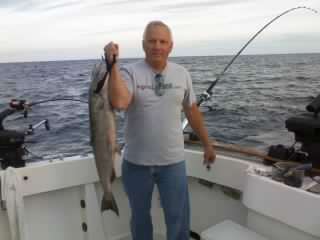 A 23.5 pound chinook salmon caught today.
