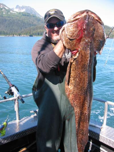 Ling Cod at Bainbridge