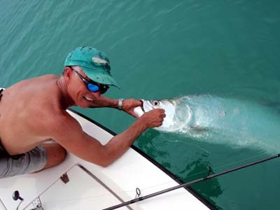 One of three Tarpon Tracey boated over an afternoon bite
