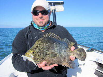 Ben Ford Sarasota DOA Shrimp tripletail
