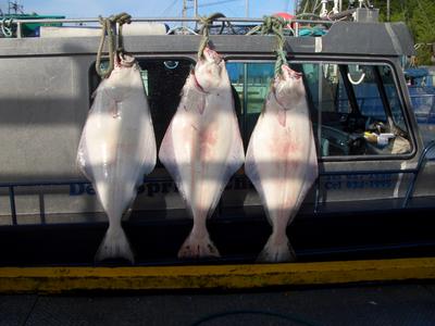 Big Skeen River mouth Butts