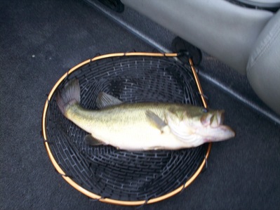 Always have a net ready for the big one!