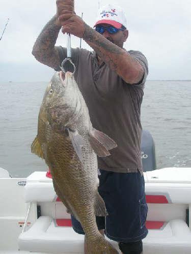 Big Blackdrum