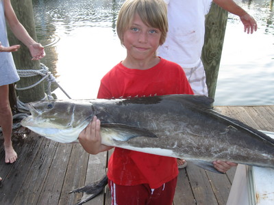 Drift fishing for cobia