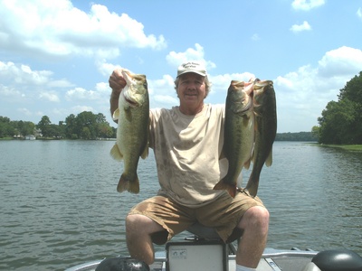 Three largemouth bass a 4, 5, and 7 pounder!