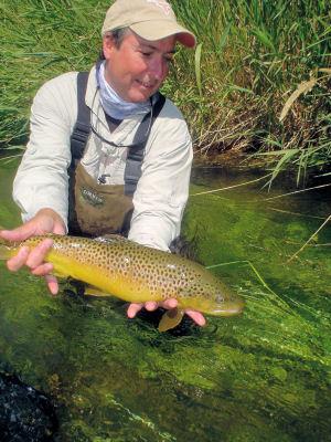 Bill King, from Osprey, FL, with a fat Stone Creek brown trout caught and released with a hopper fly pattern while fishing out of Crane Meadow Lodge, Twin Bridges, MT
