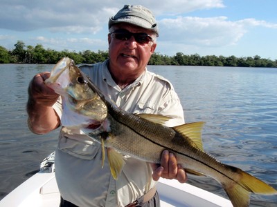 This twenty-nine inch snook took a live shiner in southwest Charlotte Harbor just before season closed