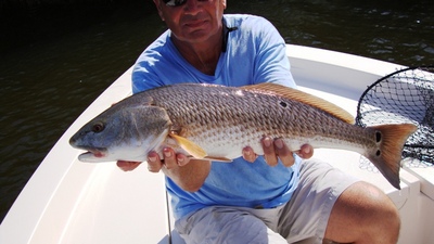 redfish